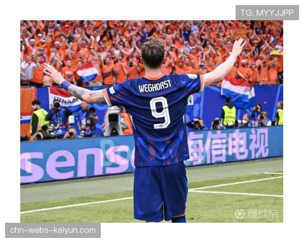 霍芬海姆官方：前锋韦格霍斯特训练中肌肉不适，将缺席两周